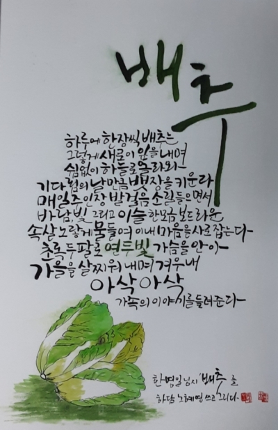 배추